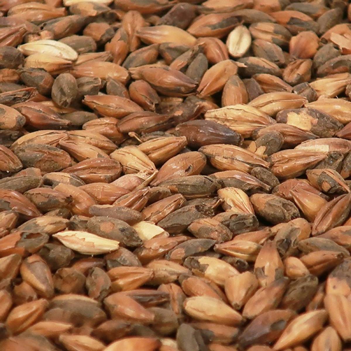Brown Malt (EBC 125)