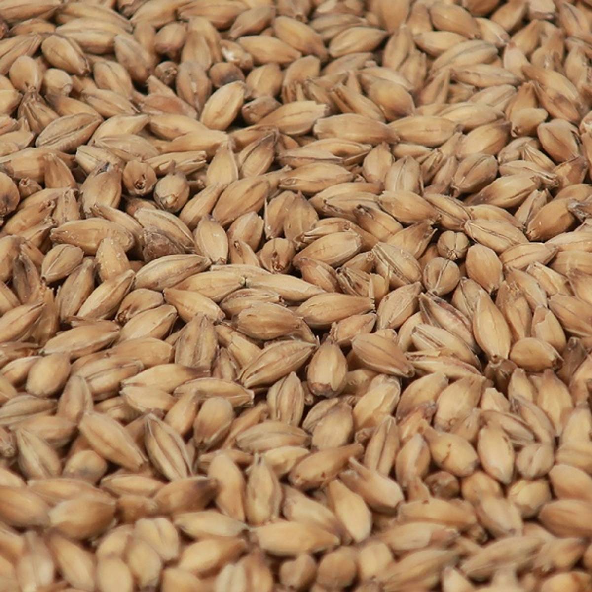 Smoked Malt (EBC 4-12)