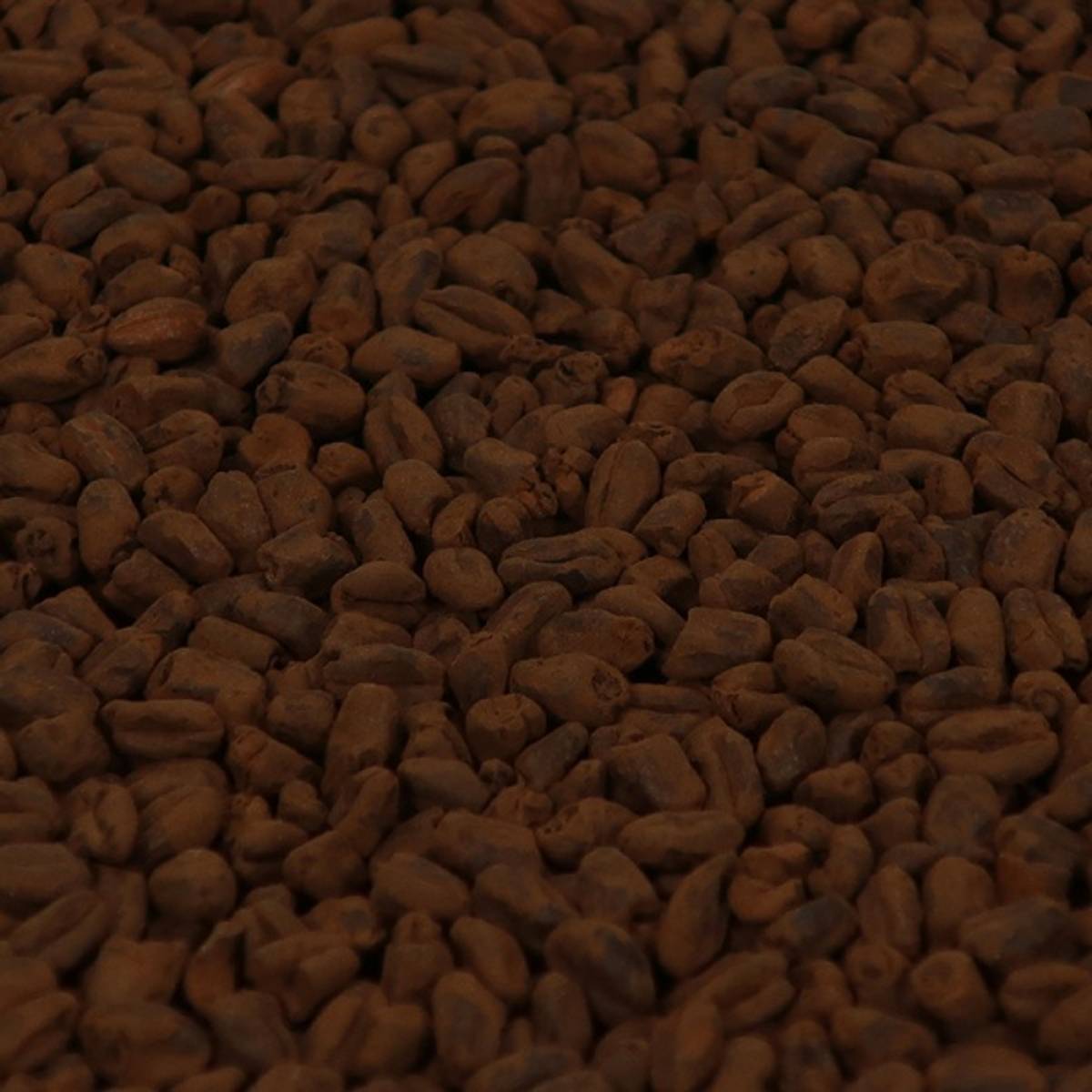 Wheat Chocolate Malt (EBC 800-1100)